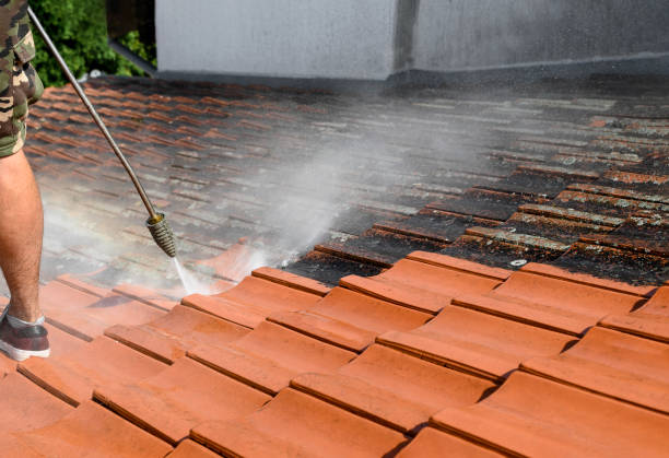 Best Power Washing Near Me  in Westport, NC